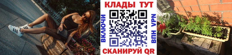 Сколько стоит Кизилюрт Гашиш  МЕГА ТОР  ГЕРОИН  A PVP  Мефедрон  Псилоцибиновые грибы  АМФ 