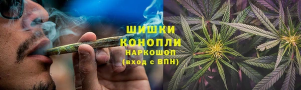дживик Зеленокумск