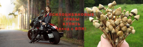 ECSTASY Новый Уренгой
