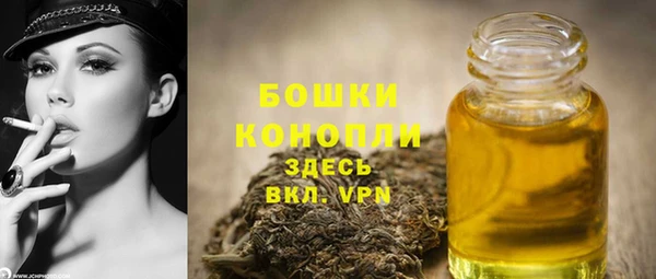 дживик Зеленокумск