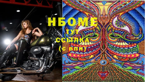 дживик Зеленокумск