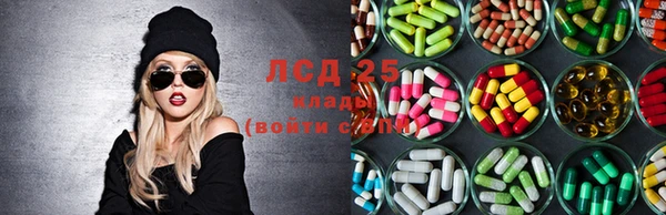 дживик Зеленокумск