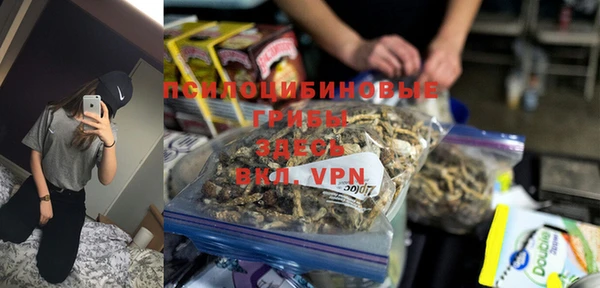 дживик Зеленокумск