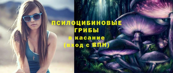 дживик Зеленокумск
